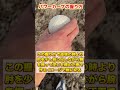 【変化球】明日から投げられる『パワーカーブ』の投げ方を紹介【ピッチャー／草野球】