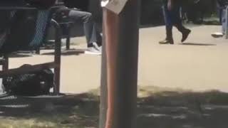 This Is What They Gave Us At Our School