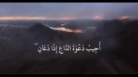 ٢٠ثانيه لله🌹قران كريم بصوت انس الشهاب🎀😍|حالات واتس اب 🕊🌹😍