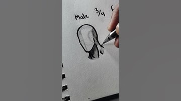 How to Draw Heads (3/4) - Tutorial #drawing #art #head #tutorial #howtodraw #shorts