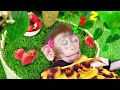 🐵Farmer Monkey baby Bi Bon harvests strawberries, takes care of cows and fish | Animals Video