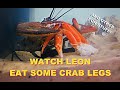 Watch Leon Eat Some Crab Legs