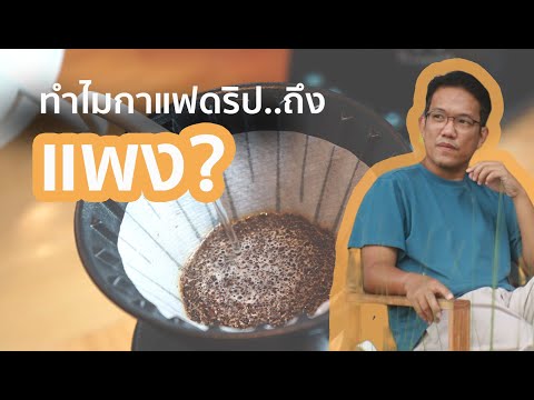 คุยเรื่องกาแฟ : ตอบข้อสงสัย ทำไมกาแฟดริปถึงแพงกว่าเมนูทั่วไป  ต้นทุนที่หลายคนคาดไม่ถึง