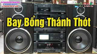 Nhạc Nhẹ Siêu Hay Chuyên Test Dàn Loa Nhật Là Đây - Hoà Tấu Rumba Nhẹ Nhàng Bay Bổng Vị Ngọt Đôi Môi