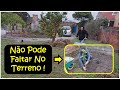 Mostrando nosso terreno em portugal e plantando ltimas mudas de frutas do pomar 