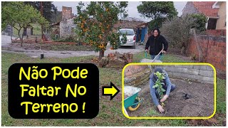 Mostrando Nosso Terreno Em Portugal e Plantando Últimas Mudas de Frutas do Pomar !
