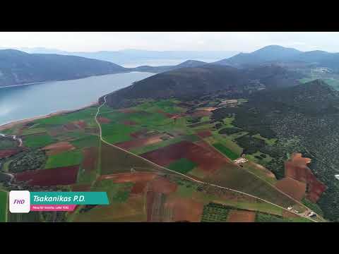 Μουρίκι Θηβών -
