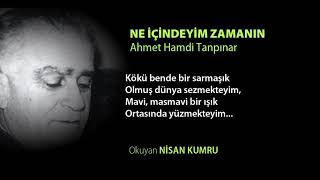 NE İÇİNDEYİM ZAMANIN | Ahmet Hamdi Tanpınar Resimi