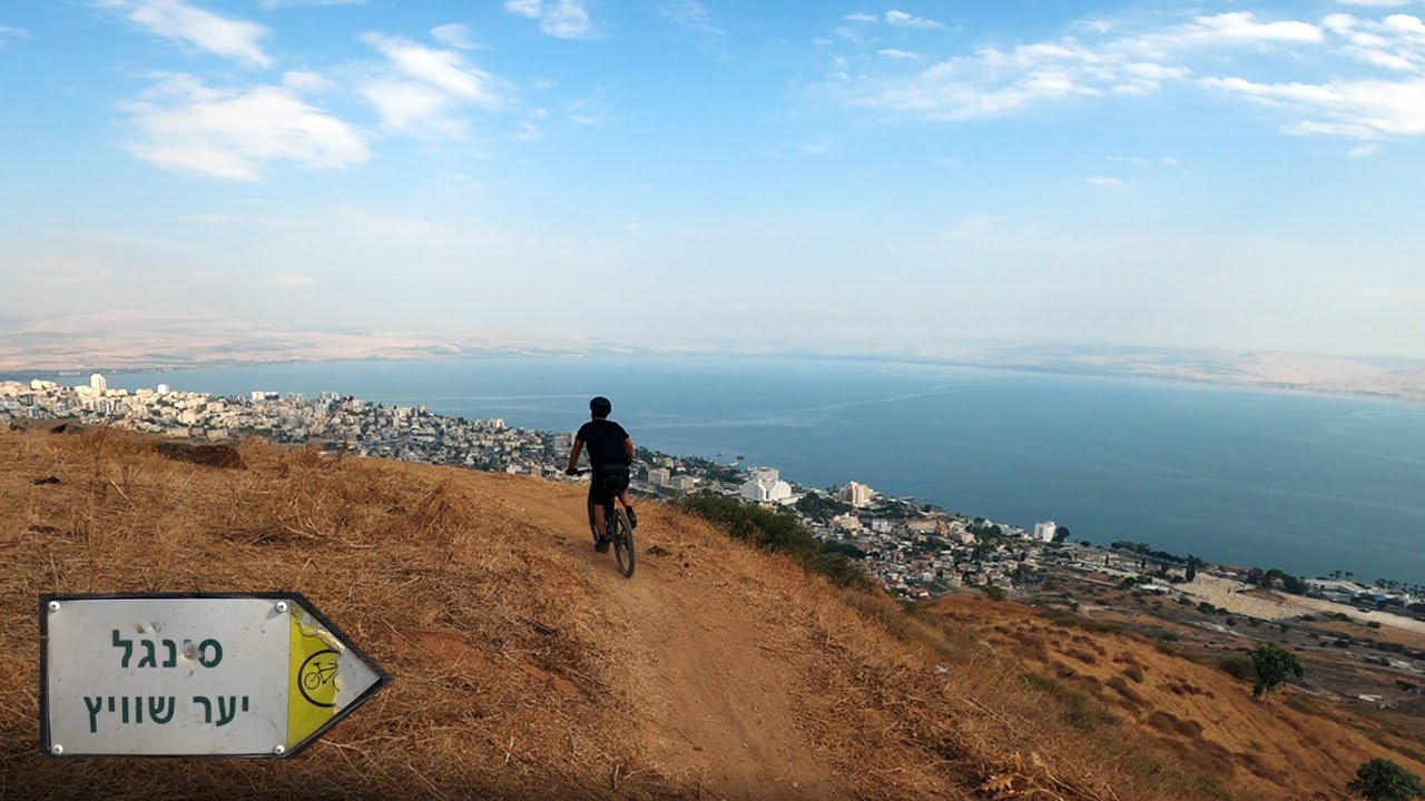 לטייל בארץ ישראל - סינגל יער שוויץ