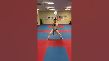 Black Belt Blocking 1st Dan #1