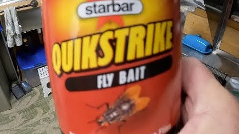 Starbar QUICKSTRIKE Fly Bait Test