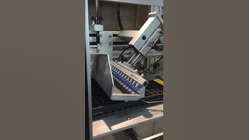 Vacuum Seeder in action