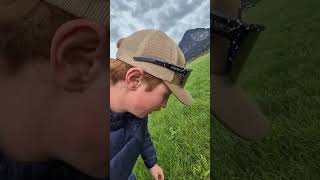 Wie sieht die Fläche auf der wir Ampfer gestochen haben aus?#bio #bauer #landwirt #landwirtschaft