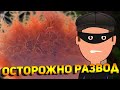 Как РАЗВОДЯТ АКВАРИУМИСТОВ  через ОЛХ! Как заказать ТРУБОЧНИК а получить .. СМОТРИТЕ ПОКА НЕ УДАЛИЛ!