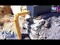 EN VIVO: PROGRAMA, “CITA NOTICIOSA”, 19 DE JUNIO DEL 2026.