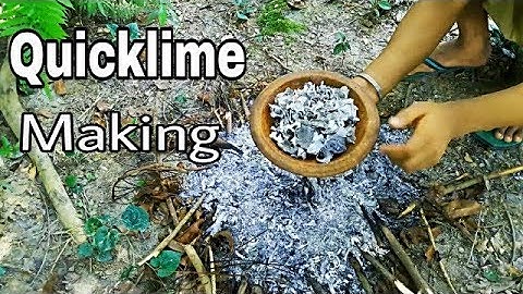 How to make Lime from Snail by Traditional process/ Making Quicklime /Mr.KeenHacker