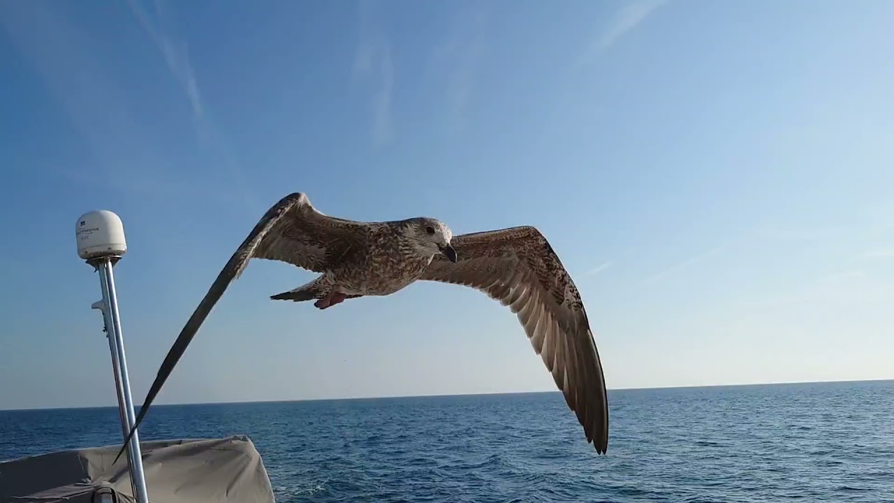 Sailing, Spain to the UK