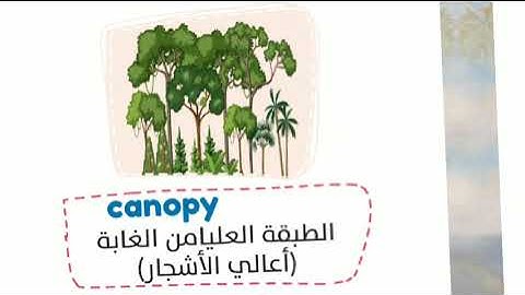 Connect plus 5 | unit 1 lesson 3