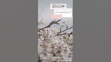 🌸تلاوة رائعة جدااا 🌸سورة الكهف 🌸 جمعة طيبة للجميع 🌸❤