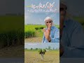 کمال کو زوال ہے (پارٹ 1،)