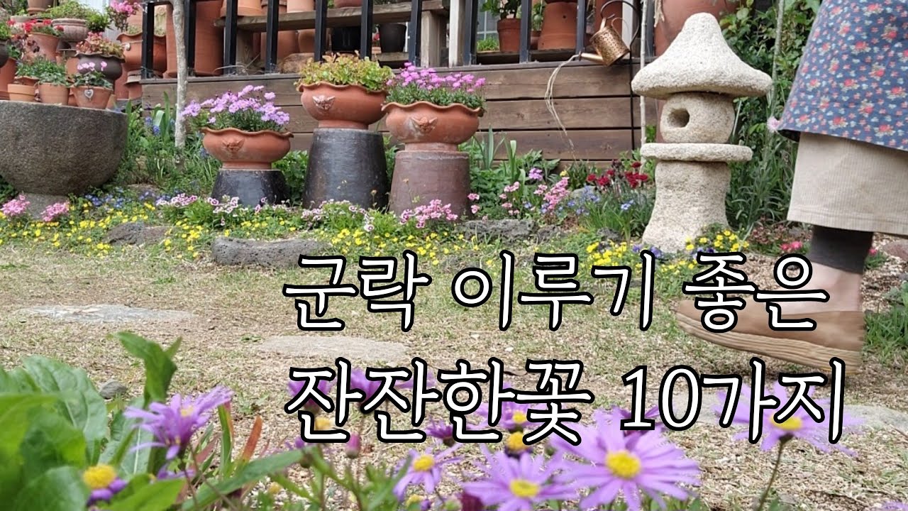 2024 군락이루기 좋은 예쁘면서  번식력 좋은 잔잔한 화초 10가지/한두포트로 밭떼기 가능한 화초 추천 /도심속작은정원/가드닝 클래스