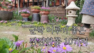 2024 군락이루기 좋은 예쁘면서  번식력 좋은 잔잔한 화초 10가지/한두포트로 밭떼기 가능한 화초 추천 /도심속작은정원/가드닝 클래스