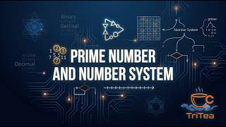Mastering Numerical Logic: Prime Numbers & Binary Conversion