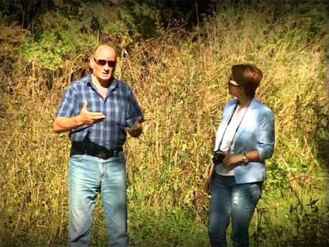 სხვა რეალობა 01დმანისი სეზონი II