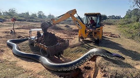 JCB 3dx xpert loading mud In Mahindra 475 JCB miti Khudai JCB miti Khudai JCB video #jcb #jcbcarton