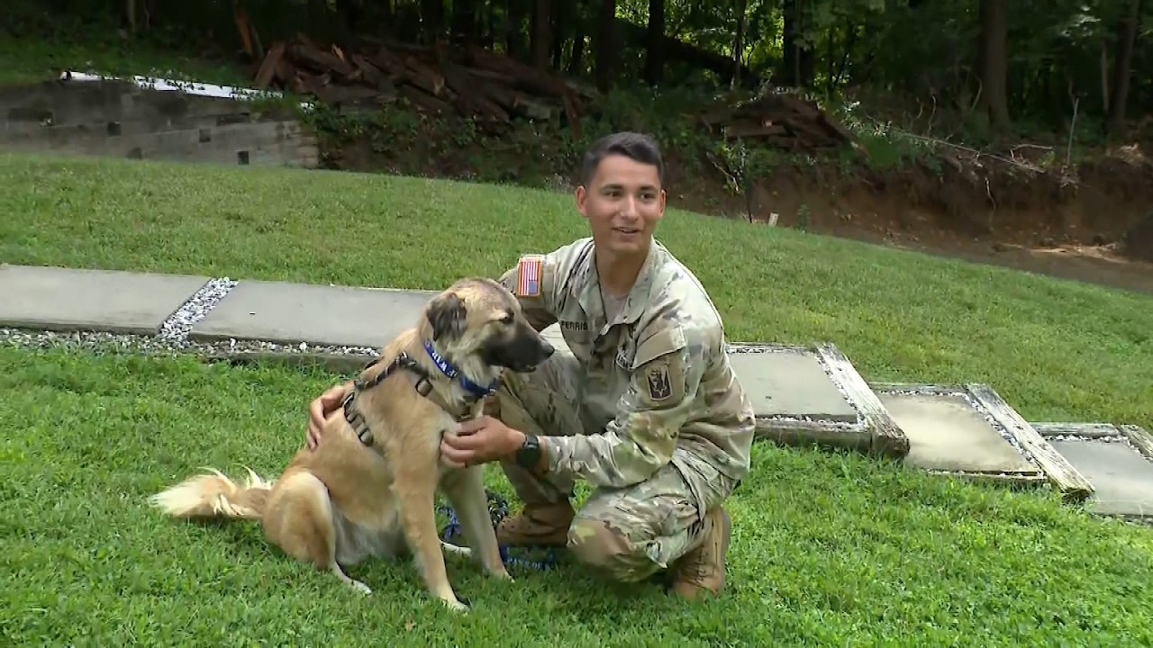 US Soldier Adopts Dog He Bonded With While Deployed In Middle East