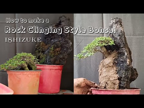 How to make a Rock Clinging Style  \