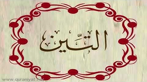 القارئ رعد محمد الكردي - سورة التين