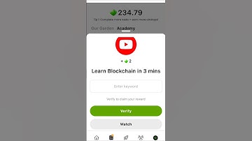 Seed  Learn blockchain in 3 minit. Seed video code. #seed #seeds
