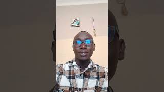 Data scientist and business system developer