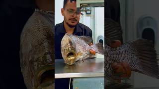 Yummy sea frozen Kuya Corral fish cutting skills video