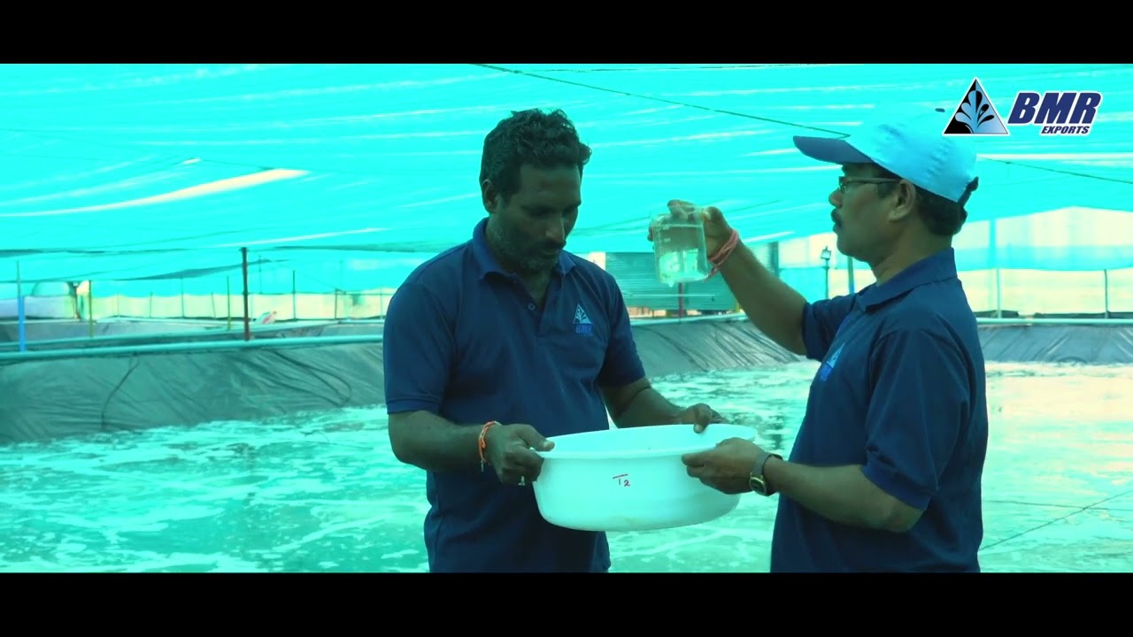 BMR VIDEO   FINAL HD