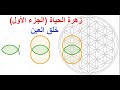زهرة الحياة الجزء الأول خلق العين
