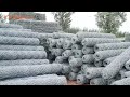 Qiangguan company factory display