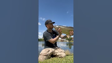 Stackz Compilation Part 27