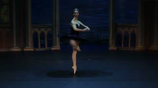 O LAGO DOS CISNES, Tchaikovsky - Petipa Ukrainian Classical Ballet