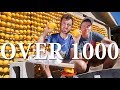 How Much Electricity Can 1000 Lemons Make?