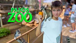 : Walking Through Pafos Zoo: Tigers, Elephants, Flamingos & History #Pafos #zoo #travel