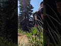 for the love of nature! 🏔️🫡🥾 Why is it always “what was your elevation gain?” and never “what