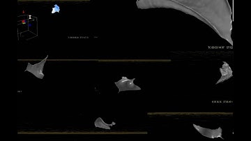 Realflow 5 infilling Script C++ plugin