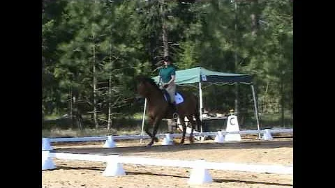 #104 Monica Prather   INTRO Dressage 5.12
