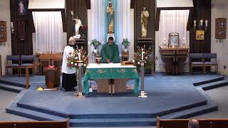 Tuesday of the Ninth Week in Ordinary Time