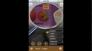 WorldDictionary - Instant Translation iPhone App screenshot 4