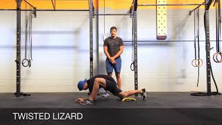 TWISTED LIZARD