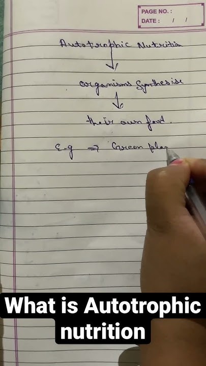 autotrophic-nutrition-what-is-autotrophic-nutrition-ytshorts
