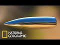 С точки зрения науки Пули Документальный фильм National Geographic 2021 FULL HD 1080